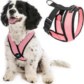 Gooby Comfort X Head-in Harness – Small Dog Harness for Toy Breeds (5–9 lbs), Pink, Small