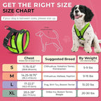 Gooby Comfort X Head In Harness - Green, Medium - No Pull Small Dog Harness Patented Choke-Free X Frame - Perfect on the Go Dog Harness for Medium Dogs No Pull or Small Dogs for Indoor and Outdoor Use