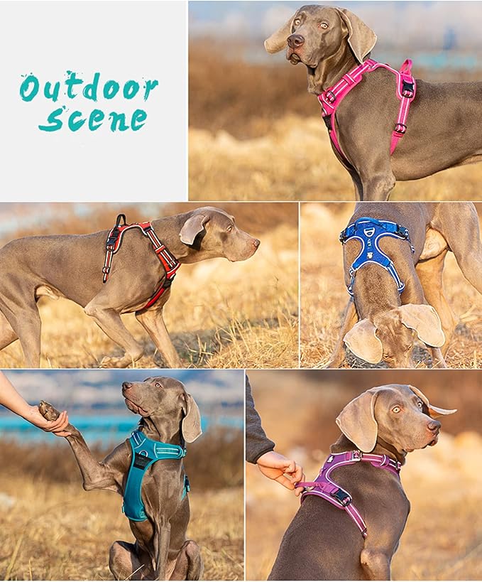 Truelove Dog Harness No Pull Nylon Reflective Pet Harness Adjustable Comfortable Control Step-in Brilliant Colors TLH56512