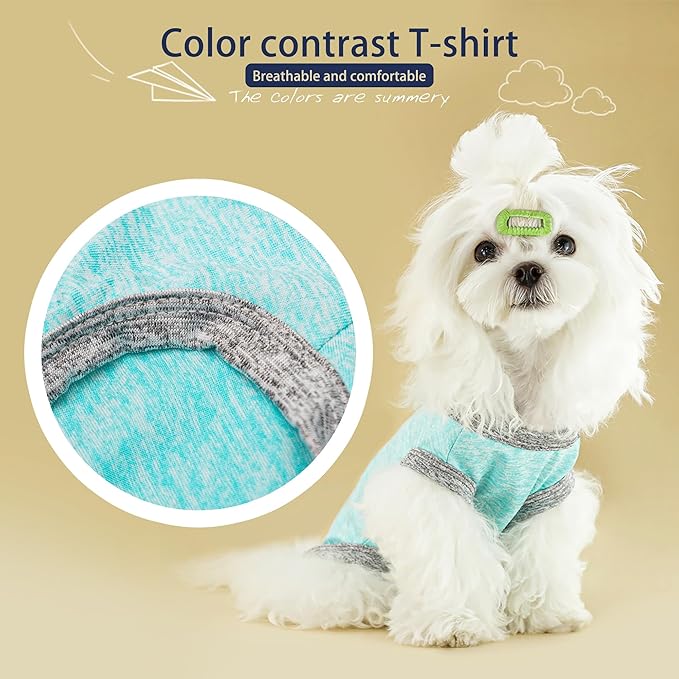 Chic Ion Polyester Dog Vest: Adorable Fashion Apparel for Small, Medium, and Large Breeds - Moisture-Wicking, Soft, Anti-Static, Durable, Easy-to-Clean Shirt - Orange XS