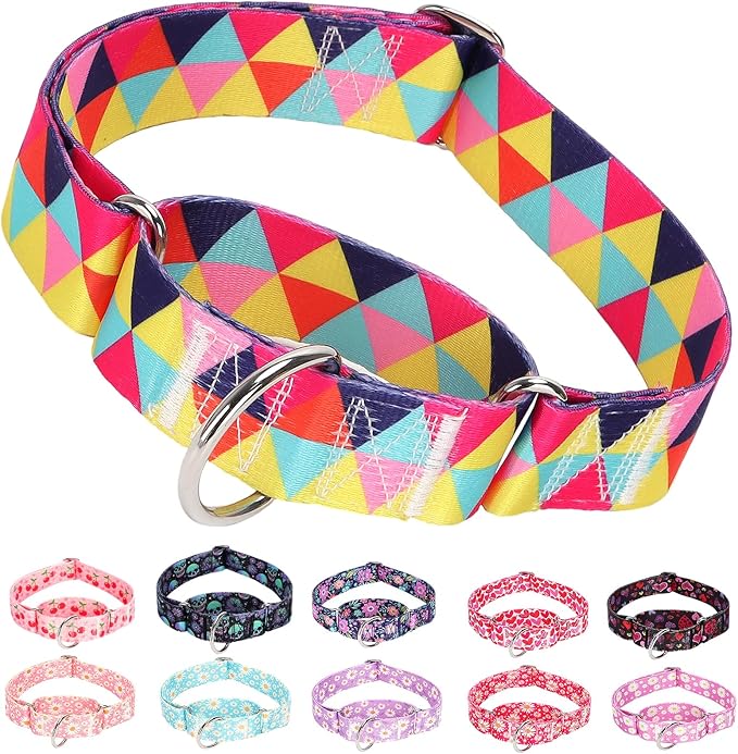 Wide Martingale Dog Collar - Heavy-Duty Escape-Proof Training Collar for Medium, Large & XL Dogs | Big & Thick No Pull Adjustable Design (Colored Triangle XL)