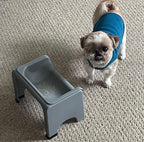 Fluff Trough Elevated Dog Bowl for Food | 5inch Tall Cat & Dog Feeding Station | Vet Approved Non-Toxic Silicone Feeder Bowl Insert | Raised Bowl for Medium and Small Dog/Pet with Flat Face (Gray)