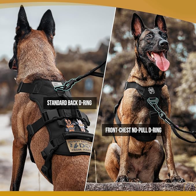 OneTigris Escape Proof Dog Harness, No Pull Dog Harness with Handles, Tactical Multi-Use Support Dogs Harnes for Large Dogs Everyday Wear Walking Hiking Training (Black, Large)