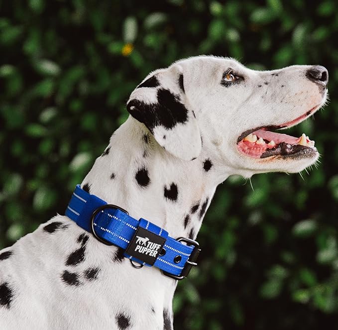 Tuff Pupper Heavy Duty Tactical Dog Collar | 1.5" Wide Ballistic Nylon | Reflective Stitching | Integrated ID Tag Holder | Stainless Steel Buckle | Padded Lining | Medium & Large Dogs (Blue, Large)
