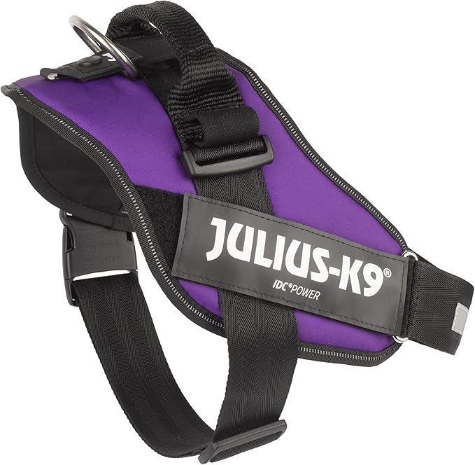 Julius-K9 IDC Powerharness, Size: XL/2, Dark Purple