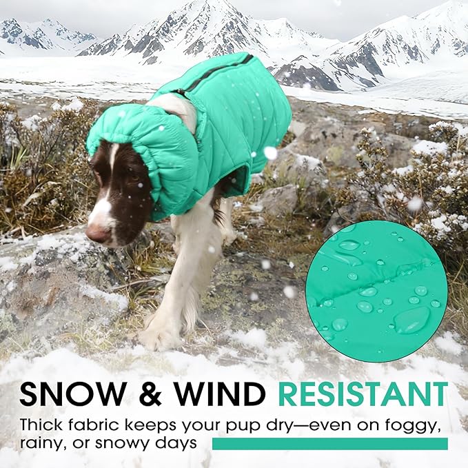 Dog Puffer Jacket with Detachable Neck Wrap for Small Dogs, Waterproof Dog Vest with Back Zipper, Winter Coat Fleece Elastic Band on Chest for Dogs, Bichon Frise, Chihuahua, Green XS
