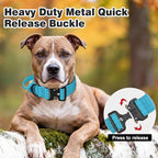 Joytale Tactical Dog Collar for Large Dogs with Control Handle, Heavy Duty Military Training Collar for Power Breeds, AirTag Holder Case, Quick Release Metal Buckle, Soft Padded, L, Sky Blue