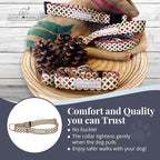 Lucky Love Dog Martingale Dog Collar - Adjustable, No-Slip, Durable, & Soft Webbing Collar for Male and Female Dogs Ideal for Training & Walking - in Unique Pongo Pattern, Small
