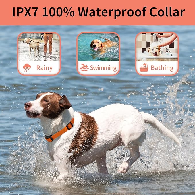 PaiPaitek No Shock Dog Training Collar for 2 Dogs – 3300ft Remote, Waterproof Vibration Collar for 2 Dogs, Humane Vibration & Beep, 5-120 lbs