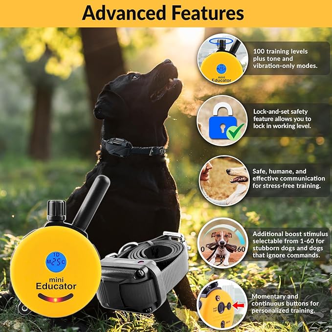 Educator 1/2 Mile Remote Dog Training System Plus E-Collar 101 Training DVD, Safe Humane Stimulation, Pavlovian Tone, Waterproof, Odorproof Biothane Collar, Night Light, Rechargeable, 2 Dog, Yellow