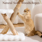 HITTITE Natural Solid Wood Cat Tree Tower with Scratching Post, 32 Inches Tall Modern Cat Tower with Cozy Bed and Platforms, Luxury Real Branch Cat Tree for Indoor Cats Large Adult, White.