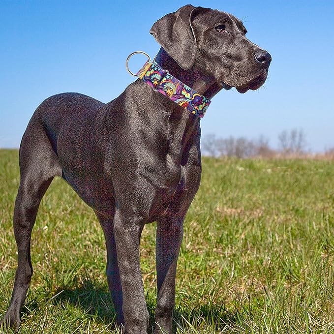 Martingale Dog Collar No-Pull Adjustable for Medium/Large Dogs - Heavy Duty 1.5" Wide Training Collar with Aztec Tribal Pattern, Durable Nylon Secure Fit (XL)