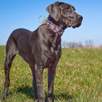 Martingale Dog Collar No-Pull Adjustable for Medium/Large Dogs - Heavy Duty 1.5" Wide Training Collar with Aztec Tribal Pattern, Durable Nylon Secure Fit (L)