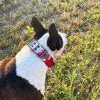 ADITYNA Heavy Duty Dog Collar for Medium Dogs - Camo Red Blue Collar with Handle for Training, and Walking - Wide, Thick, Tactical, Soft Neoprene Padded