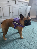 voopet Service Dog Harness, Emotional Support Pet Vest Harness, Reflective Breathable and Adjustable No-Pull ESA Dog Harness for Small Medium Large Dogs (with 4 PCS Removeable Tags)