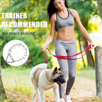 Stainless Steel Prong Dog Training Collar Adjustable Pet Pinch Collar for Dogs with The Swivel Ring 22in x 3.0mm (Neck Size up to 18in) L