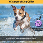 Educator E-Collar Humane Dog Training Collar with Remote, 100 Safe Tapping Stimulation Levels, Night Light, Waterproof, Rechargeable, 1/3 Mile 2 Small Dogs, Purple