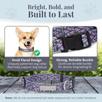 Lucky Love Dog, Comfortable, Soft, Cute Female Dog Collar for Small Dogs, Black & Purple Floral Print, Adjustable Nylon Collar, Primrose, Small