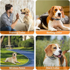 PaiPaitek Shock Collar Replacement Strap for Most of Training Collar, 3/4 Inch Dog Collar Replacement for Wireless Fence and Bark, Adjustable Waterproof TPU Collar Strap - 2 Pack for Training, Walking