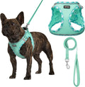 AMTOR Small Dog Harness with Leash Set, No Escape Easy Walk Puppy Harnesses for Training Walking, Step-in Reflective Soft Dogs Vest for XS S Medium Extra-Small Large Sized Dog(Green,M)