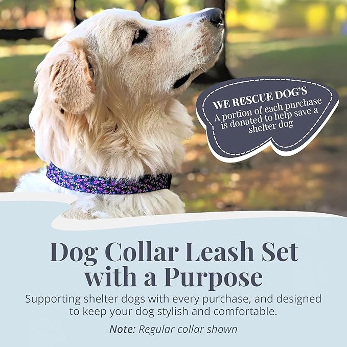 Lucky Love Dog Martingale Dog Collar & Leash - Adjustable, No-Slip, Durable, Comfortable, Soft Webbing, & Stylish Patterned Collar & Leash Set for Male and Female Dogs - Primrose Combo, Medium