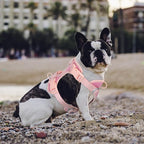Wisedog Dog Harness Medium Sized, Pet Vest with Front Clip, Adjustable Puppy Harness with 3 Fast Release Buckles[Easy to Put on & Take Off] (Pink, L)