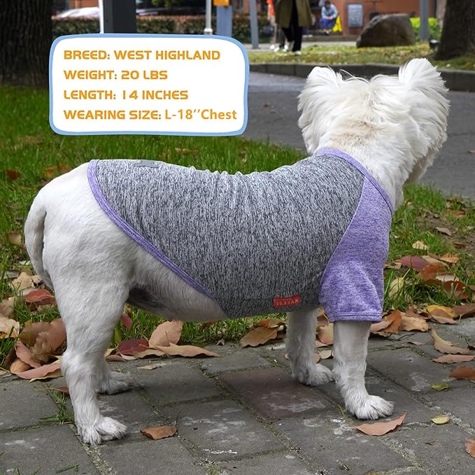 KYEESE 2Pack Dog Shirt with Sleeves, Lightweight Sun Protection Dog T Shirts for Large Dogs, Breathable Pet Tank Top Reflective Dogs Clothes for Summer Outdoor Walking, Purple+Grey, 3XL