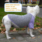 KYEESE 2Pack Dog Shirt with Sleeves, Lightweight Sun Protection Dog T Shirts for Small Dogs, Breathable Pet Tank Top Reflective Dogs Clothes for Summer Outdoor Walking, Purple+Grey, L