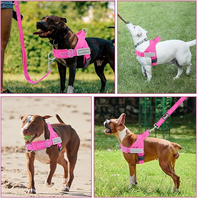 SlowTon No Pull Dog Harness - Heavy Duty Dog Harness and Leash Set for Medium Large Dogs, Reflective Tactical Harness with Soft Padded and Front Clip for Easy Walk and Training (Fuchsia XL)