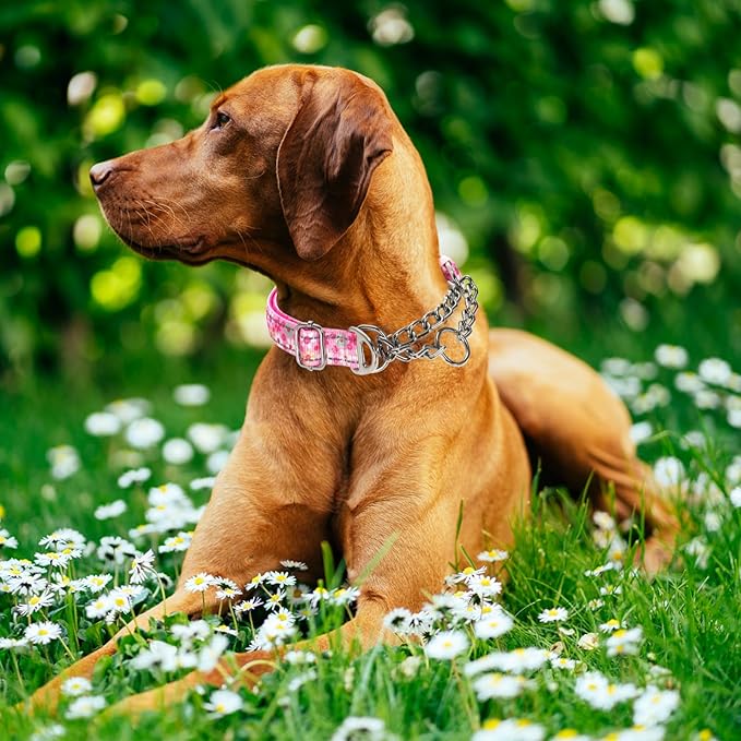 Martingale Collar for Large Dog with Chain，Reflective & Padded Comfortable & Safe No-Pull Dog Collar for Training & Walks（Pink L