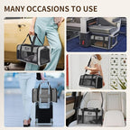TSA Approved Pet Carrier for Small Cats and Puppies, Soft-Sided and Foldable, Cat and Dog Carrier Fits Pets Up to 15 lbs, Durable Portable Travel Bag with Litter Box (Black, Litter Box & Leash Set)