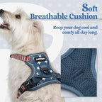 rabbitgoo Dog Harness No Pull with 2 Leash Clips, Adjustable Soft Padded, Reflective Oxford No Choke Pet Vest with Easy Control Handle for Large Dogs, Blue Star, XS