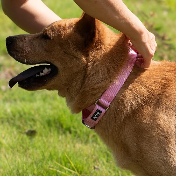 Hyhug Martingale Collar for Dogs Large Pink |Escape - Proof Heavy Duty Nylon Durable No Pull, Ideal for Training & Daily Walks