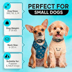 Tiny Bark Collar for Small Dogs 5-15 lbs and Puppies - No Shock Anti Barking Collar - Rechargeable Smart Collar for Dog Training with 7 Sensitivity Levels and 3 Beep&Vibration Modes (Black)
