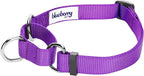 Blueberry Pet Essentials Martingale Safety Training Dog Collar, Dark Orchid, Large, Heavy Duty Nylon Adjustable Collars for Dogs