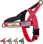 Annchwool No Pull Dog Harness with Soft Padded Handle,Reflective Strip Escape Proof and Quick Fit to Adjust Dog Harness,Easy for Training Walking for Small & Medium and Large Dogs(Red,L)