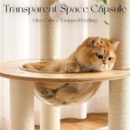 797Audio Modern Solid Wood Cat Tree Tower, 49" Tall Cat Tree with Sisal Scratching Posts for Adult Cats, Luxury Natural Oak Wooden Cat Tower,Aesthetic Multi-Level Cat Climbing Tree for Indoor Cat