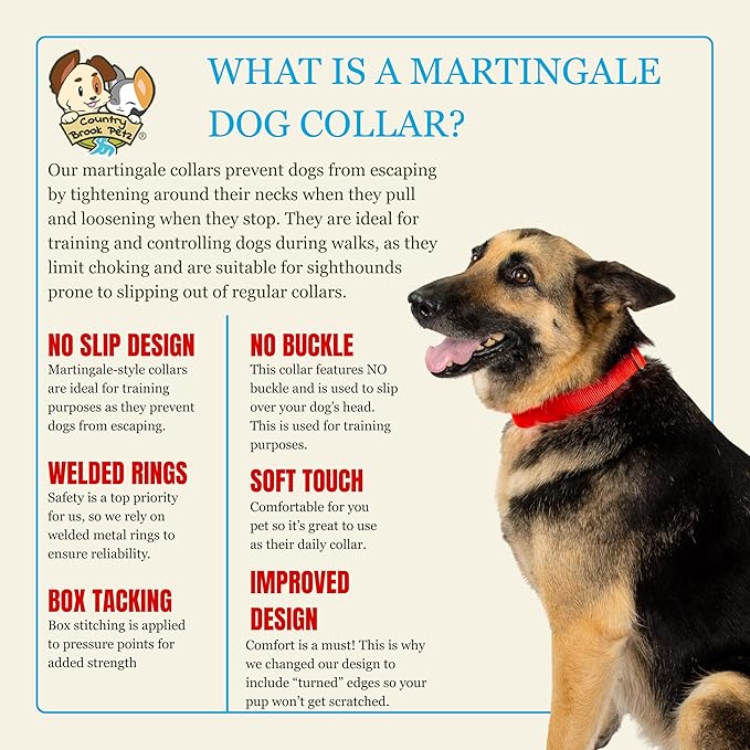 Country Brook Petz - Martingale Dog Collar - Heavy-Duty Training Collar with No Buckle - Service Dog Collar for All Pups - 10+ Warm Colors (Hot Orange, 1 Inch, Medium)