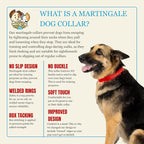 Country Brook Petz - Martingale Dog Collar - Heavy-Duty Training Collar with No Buckle - Service Dog Collar for All Pups - 10+ Warm Colors (Hot Orange, 1 Inch, Extra Large)