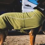 Ruffwear, Climate Changer Dog Fleece Vest, Lightweight, Warm, Winter Coat for Dogs with Adjustable Fit, Quick Release Buckles, Reflective Trim, and Harness Compatibility, Cedar Green, X-Large