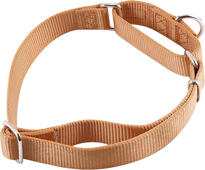 Hyhug Martingale Collar for Dogs Small Clay |Escape - Proof Heavy Duty Nylon Durable No Buckle, Ideal for Training & Daily Walks