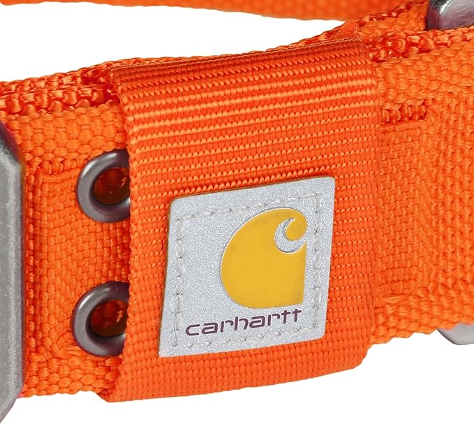 Carhartt Pet Fully Adjustable Wide Webbing Collar for Dogs, Heavy Duty Nylon for Walking & Training, Blaze Orange, Large
