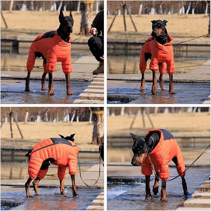 Orange XXXXL Dog Jacket: 4 Legs Covered, Windproof, Reflective, Adjustable Zippered, Waterproof, Small to Large Dogs