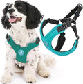 Gooby Escape Free Sport Harness - Turquoise, Small - No Choke Step-in Patented Neoprene Dog Harness with Four-Point Adjustment for Small to Medium Dogs