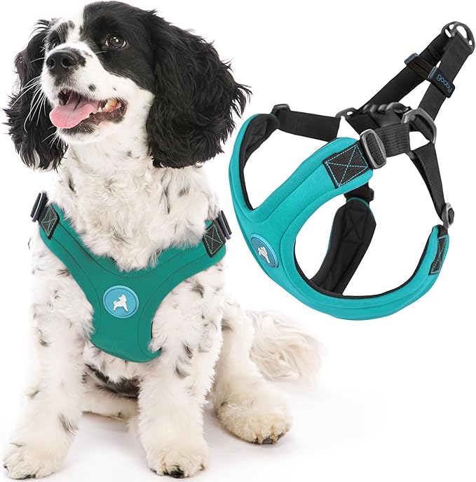 Gooby Escape Free Sport Harness - Turquoise, Large - No Choke Step-in Patented Neoprene Small Dog Harness, Four-Point Adjustment - Perfect on The Go Dog Harness for Medium Dogs No Pull and Small Dogs