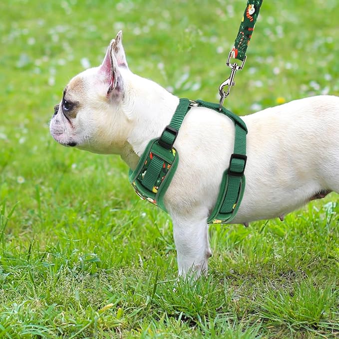 PUPTECK Christmas Small Dog Harness and Leash Set, No Pull Adjustable Puppy Cat Harness, Reflective Soft Mesh Pet Vest Small Sized, Santa Claus, S