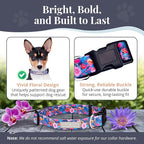 Lucky Love Dog - Adjustable Dog Collar with Easy Click Buckle for Small Dogs, Durable, & Comfortable Collar for Male & Female Dogs, Pet Collar for Puppies & Adult Dogs - Zuzu, Small