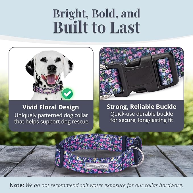 Lucky Love Dog Wide Dog Collar - Adjustable, Durable, Soft Webbing, & Comfortable 1.5 inch Wide Collar for Dogs Male and Female with Strong Buckle - Primrose, Medium