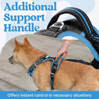 rabbitgoo Dog Harness for Large Dogs, No Pull Pet Vest with 3 Buckles, Adjustable Soft Padded Pet Harness with Easy Control Handle and Reflective Strips, Black & Sky Blue, L