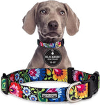 Lucky Love Dog - Adjustable Dog Collar with Easy Click Buckle for Medium, Durable, & Comfortable for Male & Female Dogs, Pet Collar for Puppies & Adult Dogs - Blackbird, Medium